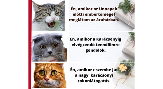 Karácsonyi kihívások szuperérzékenyeknek