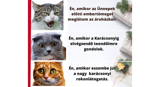 Karácsonyi kihívások szuperérzékenyeknek