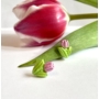 Kép 2/5 - Tulipán fülbevaló - rózsaszín